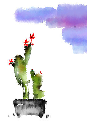 PSD 식물 꽃 화분 일러스트 캘리그라피 선인장 사람없음 선인장꽃 국내일러스트 파일형식