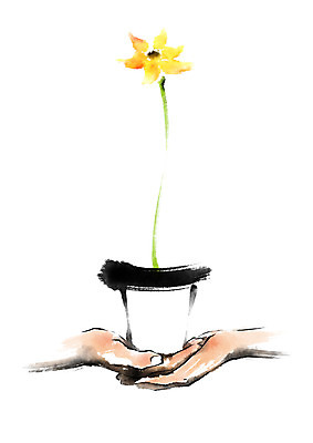 PSD 식물 손 꽃 화분 한송이 일러스트 캘리그라피 한명 들기 손짓 신체부위 양손 국내일러스트 1 모션 사람 송이 파일형식
