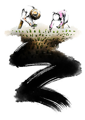 PSD 한국문화 한국전통 전통 여자 남자 일러스트 캘리그라피 붓터치 논 허리숙이기 성인 두명 농경지 농사 농촌 농부 모내기 국내일러스트 직업 동양문화 농업 한국 숙이기 사람 농장 시골 파일형식