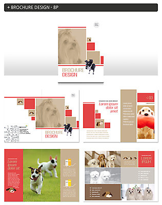 동물 템플릿 ZIP 여러마리 팜플렛 사람없음 다양 말티즈 개 리트리버 슈나우저 요크셔테리어 반려 인디자인 INDD 이미지템플릿 다수 포유류 테리어 파일형식