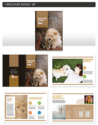 동물 템플릿 여자 ZIP 한명 팜플렛 20대 성인 눕기 한국인 개 리트리버 반려 인디자인 INDD 이미지템플릿 1 포유류 모션 사람 동양인 청년 파일형식