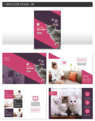 동물 템플릿 여자 ZIP 새끼 팜플렛 여러명 20대 성인 반려동물 소파 고양이 한국인 러시안블루 반려 인디자인 INDD 이미지템플릿 다수 의자 포유류 사람 동양인 청년 파일형식