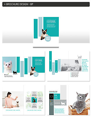 동물 템플릿 여자 ZIP 팜플렛 20대 성인 두명 반려동물 소파 바구니 고양이 한국인 러시안블루 반려 샴고양이 인디자인 INDD 이미지템플릿 의자 포유류 사람 동양인 청년 파일형식