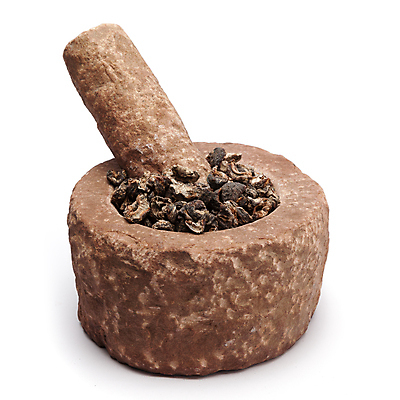 포토 JPG 해외이미지 사람없음 방망이 향신료 절구 구스베리 해외포토 열매 도구 향미료 파일형식 이미지허브