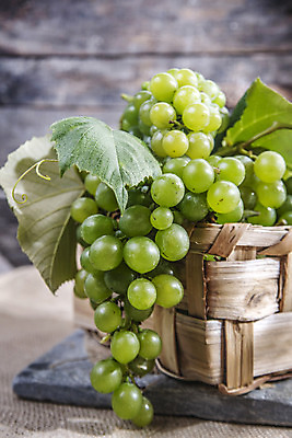 포토 JPG 해외이미지 음식 잎 농업 과일 포도 콩 사람없음 빨간색 와인 검은색 수확 가을 흰색 시골 9월 다발 유기농 포도밭 스쿼시 내추럴 숙성 해외202004 해외포토 식물 웰빙 계절 산업 스포츠 컬러 밭 곡류 주류 구기 날짜 파일형식 이미지허브