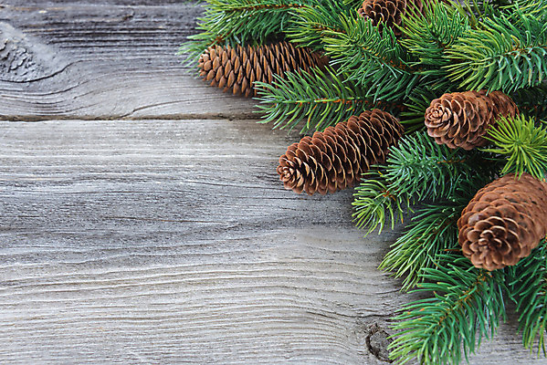 포토 JPG 해외이미지 백그라운드 컨셉 크리스마스 휴가 새해 프레임 사람없음 초록색 공백 축하 내추럴 옛날 카피스페이스 해외202004 해외포토 기념일 컬러 파일형식 이미지허브