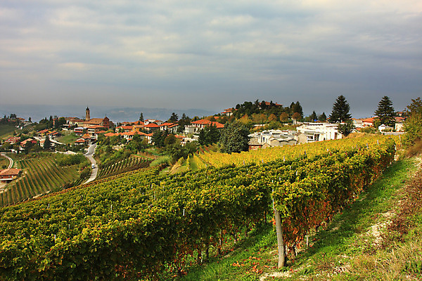 포토 JPG 해외이미지 전통 계절 유럽 여행 잎 밭 농업 자연 포도 휴가 주택 풍경 사람없음 농가 농장 노란색 여행객 마을 이탈리아 가을 시골 땅 빌라 언덕 포도밭 장면 포도나무 북쪽 인기 토스카나 세련 해외202004 해외포토 식물 나라 산업 컬러 과일 사람 건물 과일나무 방향 생태계 파일형식 이미지허브