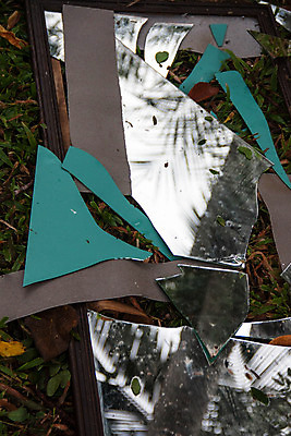 포토 JPG 해외이미지 나무 창문 자동차 유리 바람 거리 안전 사람없음 손상 나뭇가지 균열 수리 위험 충돌 사건 폭풍 보험 깨짐 자동 주장 비용 해외202004 해외포토 자연요소 식물 육상교통 컨셉 모션 재질 날씨 경제 파일형식 이미지허브