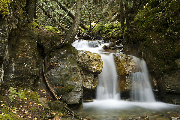 포토 JPG 해외이미지 나무 캐나다 자연 산 풍경 사람없음 초록색 물 여름 강 폭포 신선 개울 떨어짐 숲 스플래쉬 해외202004 해외포토 자연요소 식물 계절 컬러 컨셉 북아메리카 생태계 파일형식 이미지허브