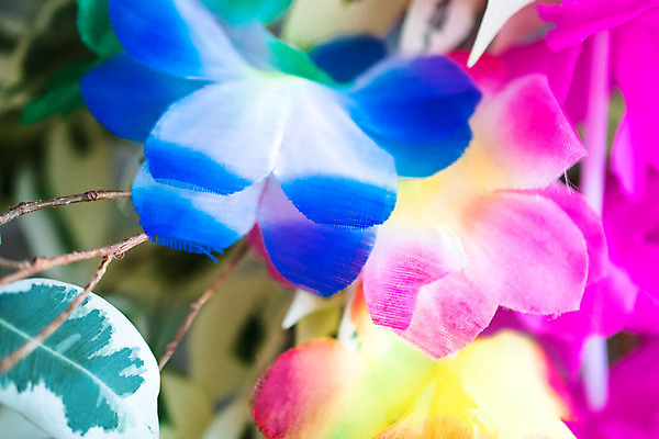 포토 JPG 해외이미지 식물 꽃잎 꽃 분홍색 꽃다발 꽃무늬 자연 휴가 사람없음 장식 빨간색 초록색 노란색 정원 보라색 봄 튤립 벚꽃 신선 난초 하와이인 해외202004 해외포토 외국인 계절 컬러 무늬 생태계 파일형식 이미지허브