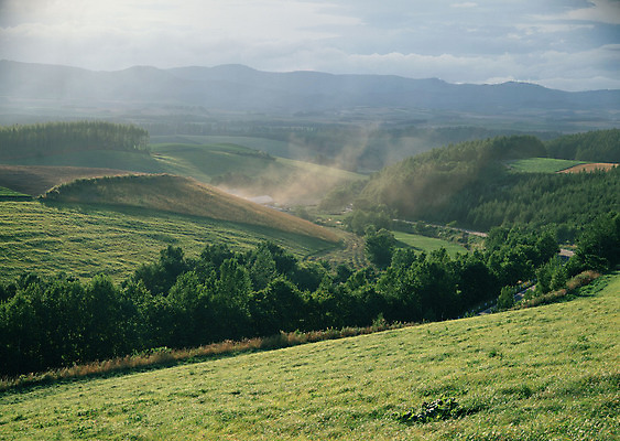 포토 JPG 해외이미지 나무 식물 구름 계절 공원 도로 길 여행 백그라운드 밭 오렌지 자연 하늘 날씨 풍경 잔디 사람없음 야외 초록색 여름 빛 햇빛 태양 농장 노란색 평화 일출 환경 정원 맑음 일몰 흙 봄 안개 광선 흰색 시골 신선 떨어짐 숲 땅 언덕 장면 넘어짐 땅바닥 방법 생태학 수평선 해외202004 해외포토 자연요소 공공시설 교육 컬러 컨셉 농업 과일 교통시설 모션 바닥 노을 생태계 파일형식 이미지허브
