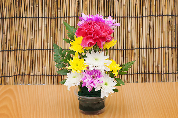 포토 JPG 해외이미지 식물 계절 꽃잎 꽃 줄기 분홍색 꽃다발 결혼 백그라운드 잎 꽃무늬 자연 유리 발렌타인데이 선물 사랑 사람없음 목재 장식 빨간색 초록색 물 컬러풀 노란색 정원 꽃병 봄 벚꽃 축하 신선 달콤 배열 카네이션 질감 데이지 거베라 내추럴 장례 해외202004 해외포토 자연요소 나무 감정 컬러 컨셉 무늬 재료 데이이벤트 재질 이벤트 맛 생태계 파일형식 이미지허브