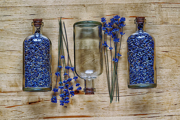 포토 JPG 해외이미지 꽃 백그라운드 꽃무늬 재료 유리 건조 건강 사람없음 목재 치료 파란색 약 스파 항아리 상품 허브 아로마테라피 라벤더 내추럴 에센스 해외202004 해외포토 나무 식물 컬러 무늬 의학 재질 화장품 도자기 테라피 파일형식 이미지허브