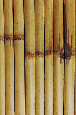 포토 JPG 해외이미지 나무 전통 디자인 아시아 선 벽 백그라운드 패턴 건축양식 벽지 추상 열대 갈대 동양인 사람없음 목재 장식 울타리 갈색 일본 중국 화목 줄무늬 나뭇가지 원형 막대기 보호 다발 배열 대나무 묘사 보따리 유기농 질감 나무껍질 내추럴 등나무 해외202004 해외포토 도형 식물 웰빙 건축 나라 컬러 컨셉 무늬 재료 인종 담장 껍질 파일형식 이미지허브