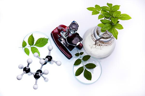 포토 JPG 해외이미지 식물 실내 실험 액체 화학 실험실 플라스크 흰배경 비커 화학실험 분자구조모형 샬레 해외202004 해외포토 과학 백그라운드 실험기구 내부 모형 흰색 분자구조 파일형식 이미지허브