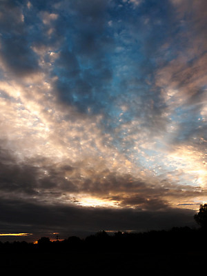 포토 JPG 해외이미지 나무 식물 구름 계절 공원 여행 백그라운드 밭 자연 하늘 아침 휴가 산 풍경 사람없음 목재 초록색 물 여름 파란색 빛 햇빛 태양 일출 환경 맑음 일몰 봄 새벽 안개 가을 신선 저녁 숲 장작 땅 장면 내추럴 해외202004 해외포토 주간 자연요소 공공시설 컬러 농업 재료 날씨 노을 야간 생태계 파일형식 이미지허브