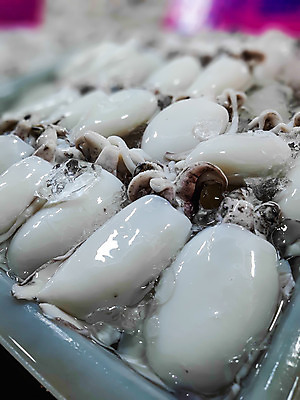 포토 JPG 해외이미지 동물 음식 바다 백그라운드 자연 건강 어류 요리 사람없음 물 주방 얼음 식사 흰색 신선 화려 시장 해산물 오징어 날것 문어 내추럴 해외202004 해외포토 자연요소 컬러 컨셉 연체동물 수중동물 생태계 파일형식 이미지허브