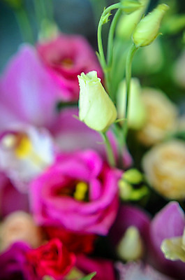 포토 JPG 해외이미지 식물 디자인 열매 꽃잎 꽃 분홍색 꽃다발 결혼 백그라운드 잎 꽃무늬 자연 휴가 봉투 발렌타인데이 선물 사랑 이벤트 사람없음 장식 빨간색 초록색 소파 컬러풀 장미 보라색 봄 벚꽃 흰색 축하 신선 생일 난초 다발 배열 아몬드 내추럴 해외202004 해외포토 계절 기념일 감정 컬러 컨셉 무늬 의자 데이이벤트 견과류 생태계 파일형식 이미지허브