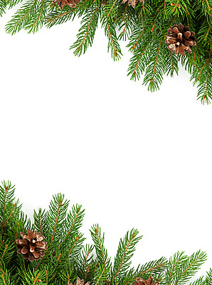 포토 JPG 해외이미지 나무 식물 행복 포스터 백그라운드 크리스마스 겨울 자연 휴가 새로움 새해 프레임 사람없음 장식 초록색 축제 방 추위 흰색 나뭇가지 축하 신용카드 숲 편지 연도 정사각형 엽서 뼈대 상록수 침엽수 전나무 원뿔 내추럴 고립 구성 가문비나무 해외202004 해외포토 도형 계절 기념일 감정 컬러 컨셉 금융 생태계 파일형식 이미지허브