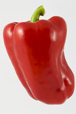 포토 JPG 해외이미지 식물 1 라이프스타일 음식 백그라운드 채소 과일 재료 피망 건강 사람없음 빨간색 초록색 젖음 종 흰색 신선 달콤 맛 먹기 오브젝트 유기농 날것 후추 고립 숙성 채식주의자 해외202004 해외포토 웰빙 컬러 컨셉 모션 생활 향신료 채식 파일형식 이미지허브