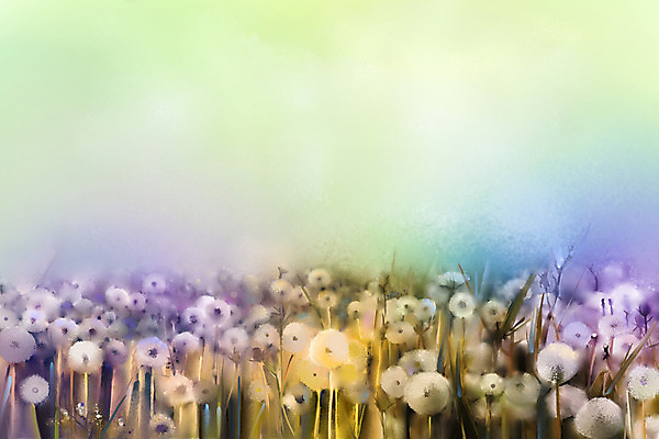 JPG 해외이미지 꽃 일러스트 사람없음 그림 손그림 민들레홀씨 유화 해외202004 해외일러스트 식물 미술 민들레 파일형식 이미지허브