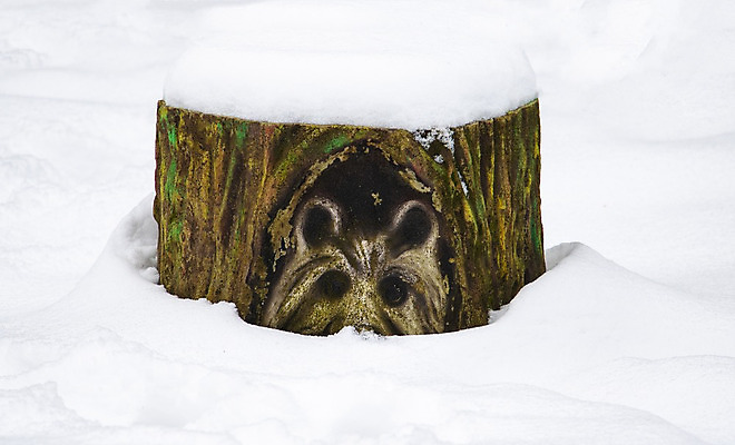 포토 JPG 해외이미지 나무 디자인 백그라운드 패턴 자연 추상 휴가 사람없음 목재 장식 빨간색 파란색 컬러풀 노란색 페인트 줄무늬 흰색 반지 원형 자르기 그림 질감 통나무 내추럴 수목 옛날 핸드메이드 해외202004 해외포토 도형 식물 컬러 무늬 재료 장신구 모션 생태계 파일형식 이미지허브