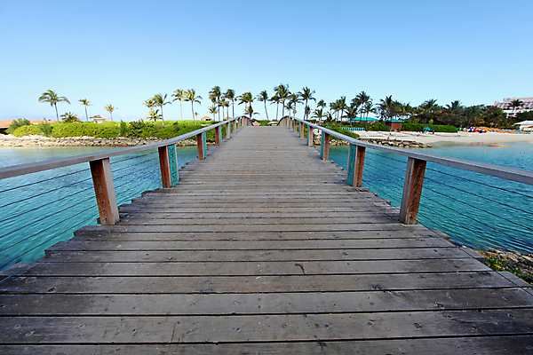 포토 JPG 해외이미지 나무 식물 길 호수 모래 자연 하늘 풍경 사람없음 야외 목재 초록색 물 여름 강 야자수 연못 내추럴 해외202004 해외포토 자연요소 계절 컬러 재료 생태계 파일형식 이미지허브