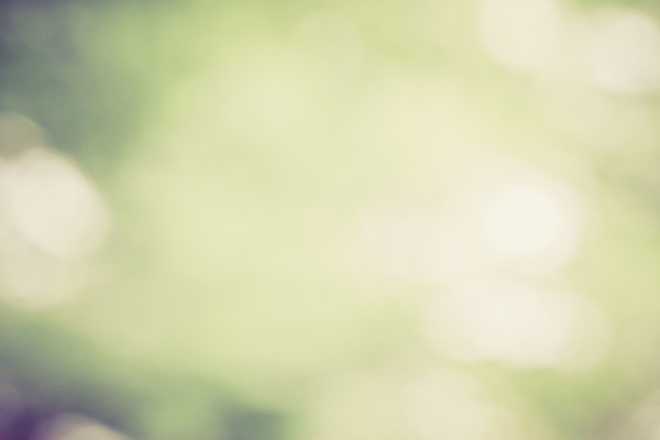 포토 JPG 해외이미지 식물 디자인 계절 백그라운드 잎 크리스마스 패턴 자연 하늘 추상 사람없음 빨간색 초록색 여름 빛 컬러풀 햇빛 환경 맑음 봄 활발 소프트포커스 숲 질감 보케 부드러움 내추럴 광 블러 생태학 효과 해외202004 해외포토 교육 기념일 컬러 컨셉 무늬 날씨 촬영기법 태양 감각 생태계 파일형식 이미지허브