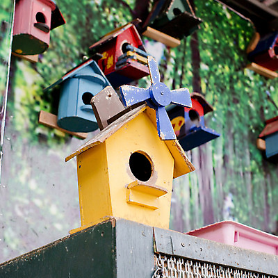 포토 JPG 해외이미지 공원 조류 부활절 주택 사람없음 야외 목재 장식 초록색 여름 파란색 농장 정원 봄 시골 먹이 부식 옛날 해외202004 해외포토 나무 동물 계절 공공시설 기념일 컬러 농업 재료 건물 파일형식 이미지허브