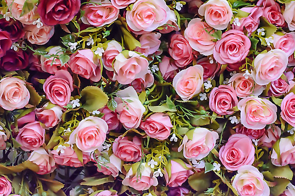 포토 JPG 해외이미지 식물 꽃 분홍색 꽃다발 백그라운드 잎 꽃무늬 자연 사람없음 장식 빨간색 초록색 여름 컬러풀 장미 노란색 흰색 우아함 플라스틱 거짓 인공 많음 해외202004 해외포토 계절 컬러 컨셉 무늬 재질 생태계 파일형식 이미지허브