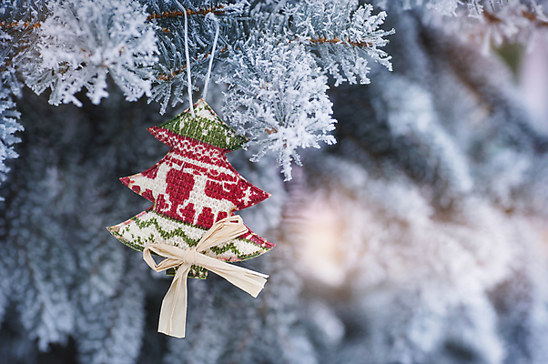 포토 JPG 해외이미지 나무 디자인 별 조각 백그라운드 컨셉 크리스마스장식 크리스마스 겨울 텍스트 벽지 추상 휴가 새로움 기념 이벤트 사람없음 장식 빛 반짝임 축제 화환 수확 흰색 원형 황금 은색 야간 연도 심볼 잔치 보케 마법 그런지 엘리먼트 해외202004 해외포토 자연요소 도형 식물 계절 기념일 꽃 컬러 무늬 농업 모션 파일형식 이미지허브