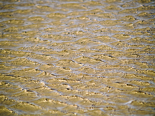 포토 JPG 해외이미지 물결 모래 파도 바다 하늘색 백그라운드 패턴 자연 표면 추상 사람없음 물 여름 파란색 빛 모래사장 햇빛 태양 반사 맑음 수중 수영 침묵 젖음 추위 투명 액체 시원함 묘사 질감 내추럴 잔물결 터키석 해외202004 해외포토 자연요소 계절 컬러 무늬 날씨 소리 수상스포츠 보석 생태계 파일형식 이미지허브