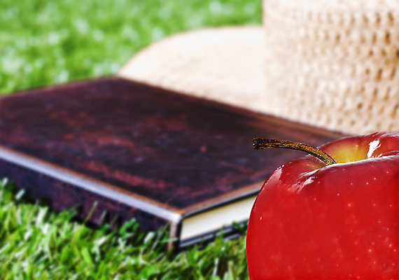 포토 JPG 해외이미지 음식 과일 휴식 건강 잔디 사람없음 야외 책 초록색 독서 갈색 사과 읽기 해외202004 해외포토 식물 컬러 컨셉 모션 파일형식 이미지허브