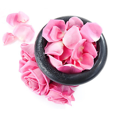 포토 JPG 해외이미지 꽃잎 꽃 분홍색 백그라운드 꽃무늬 자연 사람없음 장미 화장품 흰색 신선 허브 크림 향수 에코 향기 냄새 만들기 아로마 성분 샴푸 내추럴 린스 에센스 해외202004 해외포토 식물 컬러 무늬 모션 위생용품 뷰티 환경 생태계 파일형식 이미지허브