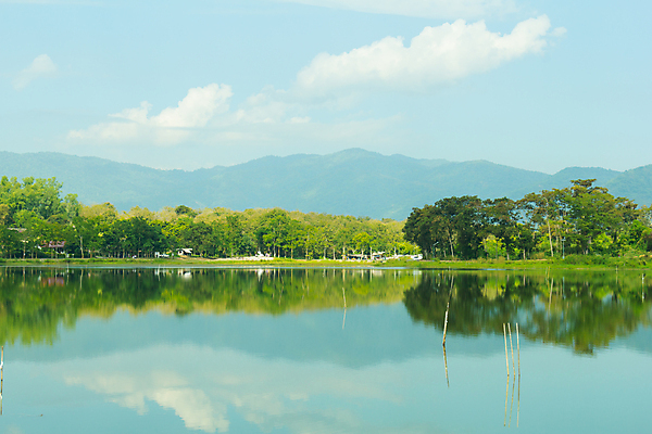 포토 JPG 해외이미지 나무 식물 공원 아시아 호수 여행 백그라운드 밭 태국 자연 아침 휴식 풍경 사람없음 야외 초록색 물 컬러풀 반사 저녁 숲 대학교 전국 해외202004 해외포토 주간 자연요소 공공시설 나라 컬러 컨셉 농업 학교 밤 야간 생태계 파일형식 이미지허브