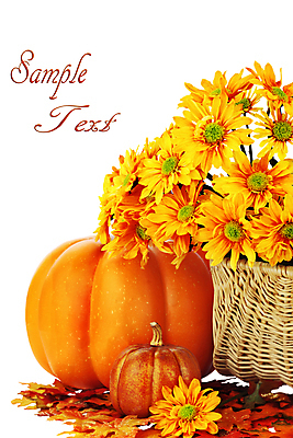 포토 JPG 해외이미지 식물 계절 꽃 꽃다발 백그라운드 잎 꽃무늬 채소 오렌지 자연 호박 국화 사람 사람없음 장식 초록색 컬러풀 노란색 바구니 사진촬영 침묵 활발 할로윈 금지 벚꽃 가을 개화 11월 다발 배열 추수감사절 스쿼시 10월 내추럴 고립 카피스페이스 해외202004 해외포토 기독교 스포츠 컬러 컨셉 무늬 과일 구기 촬영 소리 공백 날짜 생태계 파일형식 이미지허브