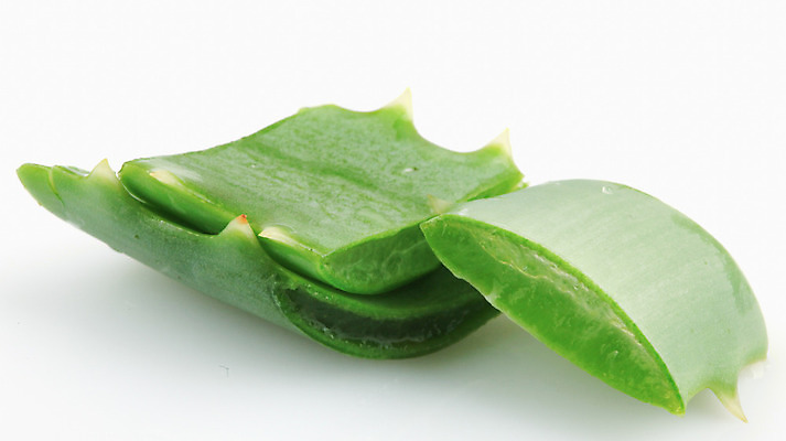 포토 JPG 해외이미지 식물 꽃 줄기 백그라운드 잎 자연 선인장 건강 사람없음 초록색 물 빛 약 우주 주스 화장품 활발 젖음 사막 성장 흰색 신선 가시 닫기 떨어짐 허브 피부 순수 묘사 피부관리 스파이크 고립 넘어짐 돌봄 알로에 억울 해외202004 해외포토 자연요소 감정 음료 컬러 컨셉 의학 모션 신체부위 뷰티 생태계 파일형식 이미지허브