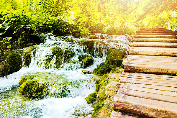 포토 JPG 해외이미지 나무 공원 유럽 길 호수 자국 자연 사람없음 초록색 물 세계 맑음 폭포 가을 재산 숲 호기심 크로아티아 내추럴 선로 전국 해외202004 해외포토 자연요소 식물 계절 공공시설 감정 나라 컬러 컨셉 날씨 금융 생태계 파일형식 이미지허브