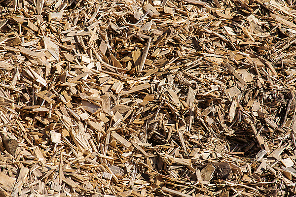 포토 JPG 해외이미지 나무 백그라운드 유적 자연 사람없음 목재 갈색 쌓기 정원 재활용 소나무 거친 닫기 숲 땅 자르기 목수 유기농 생태계 질감 날것 목공예 나무껍질 면도 연료 잡동사니 낭비 내추럴 방앗간 마무리 생태학 수목 톱밥 해외202004 해외포토 식물 직업 전통 웰빙 교육 컬러 컨셉 재료 모션 껍질 가루 공예 친환경 파일형식 이미지허브