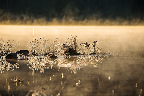 포토 JPG 해외이미지 호수 자연 표면 사람없음 물 빛 햇빛 반사 맑음 침묵 추위 안개 신선 잡초 소프트포커스 시원함 서리 암초 결정체 내추럴 뿌연 해외202004 해외포토 자연요소 식물 날씨 촬영기법 태양 소리 생태계 파일형식 이미지허브