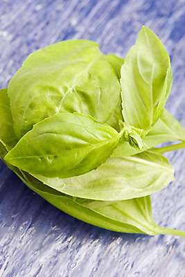 포토 JPG 해외이미지 음식 잎 채소 재료 요리 사람없음 양념 허브 향신료 바질 해외202004 해외포토 식물 향미료 파일형식 이미지허브