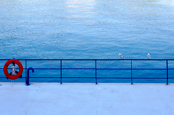 포토 JPG 해외이미지 주간 해외풍경 바다 두마리 난간 갈매기 사람없음 야외 미국 캘리포니아 철제난간 해외202004 구명부환 해외포토 자연요소 해외 2 북아메리카 조류 풍경 안전장비 튜브 파일형식 이미지허브