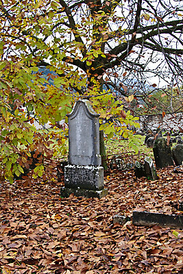 포토 JPG 해외이미지 종교 길 선 잎 밭 휴식 이끼 사람없음 세계 평화 기댐 슬픔 가을 바위 죽음 무덤 역사 유령 큼 비석 버리기 묘사 전쟁 애도 희생 기념물 유대인 천연기념물 명예 장례 슬로베니아 옛날 적자 줄서기 추모 해외202004 해외포토 식물 계절 감정 유럽 컨셉 농업 모션 돌_바위 크기 파일형식 이미지허브