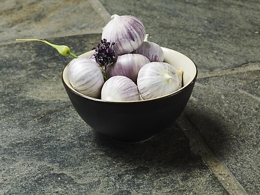 포토 JPG 해외이미지 음식 다이어트 채소 검은배경 양파 건강 마늘 요리 사람없음 초록색 건강관리 신선 사발 시장 향신료 날것 채식주의자 해외202004 해외포토 컬러 백그라운드 관리 검은색 사기그릇 채식 향미료 파일형식 이미지허브