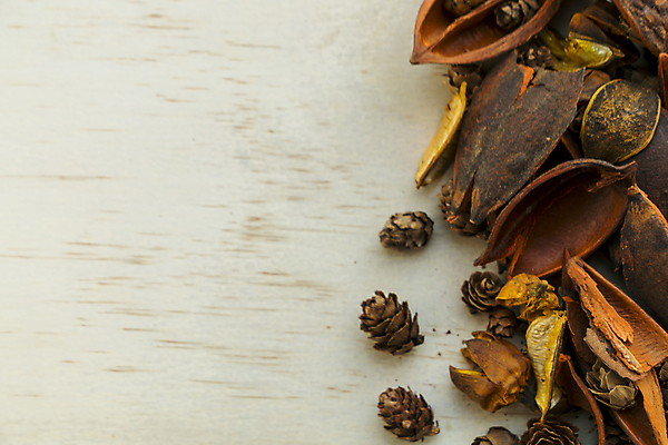 포토 JPG 해외이미지 모양 꽃 줄 결혼 백그라운드 컨셉 표면 아이디어 발렌타인데이 사랑 사람없음 목재 장식 빨간색 갈색 종 시골 축하 오픈 코드 심볼 아로마 열정 빨래집게 해외202004 해외포토 나무 식물 감정 컬러 재료 데이이벤트 집게 이벤트 파일형식 이미지허브