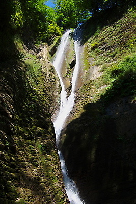 포토 JPG 해외이미지 공원 여행 잎 모션 자연 산 이끼 풍경 사람없음 야외 초록색 물 여름 강 환경 봄 폭포 흐름 바위 신선 개울 떨어짐 소프트포커스 숲 속도 상쾌 장면 해외202004 해외포토 자연요소 식물 계절 공공시설 감정 컬러 컨셉 촬영기법 돌_바위 생태계 파일형식 이미지허브