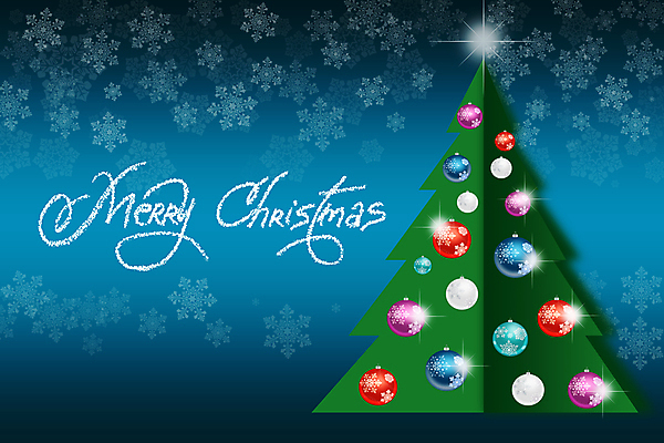 포토 JPG 해외이미지 나무 아이콘 디자인 배너 별 백그라운드 크리스마스 겨울 일러스트 추상 휴가 새로움 선물 미술 사람없음 그래픽 장식 빨간색 초록색 빛 컬러풀 반사 보라색 어둠 축하 인사 신용카드 우아함 심볼 엽서 스포트라이트 전나무 스타일 해외202004 해외포토 자연요소 식물 계절 기념일 컬러 컨셉 무늬 문화예술 금융 예절 편지 파일형식 이미지허브