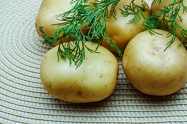 포토 JPG 해외이미지 웰빙 감자 실내 사람없음 신선 허브 유기농 파란배경 딜 해외202004 해외포토 식물 백그라운드 채소 내부 파란색 파일형식 이미지허브