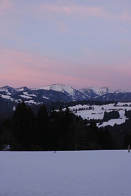 포토 JPG 해외이미지 나무 계절 길 여행 크리스마스 겨울 자연 하늘 아침 풍경 사람없음 파란색 태양 일출 얼음 추위 안개 흰색 해외202004 해외포토 주간 자연요소 식물 기념일 컬러 날씨 노을 생태계 파일형식 이미지허브