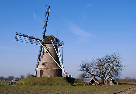 포토 JPG 해외이미지 나무 밭 자연 하늘 풍경 사람없음 건물 풍차 네덜란드 헛간 천연기념물 해외202004 해외포토 식물 건축물 유럽 농업 생태계 저장고 파일형식 이미지허브